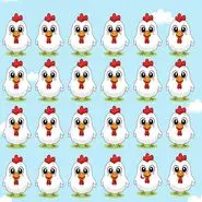 بازی فکری : مرغ متفاوت کدام است؟ اگر دقت بالایی دارید در 5 ثانیه بفهمید!