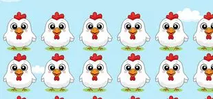 بازی فکری : مرغ متفاوت کدام است؟ اگر دقت بالایی دارید در 5 ثانیه بفهمید!