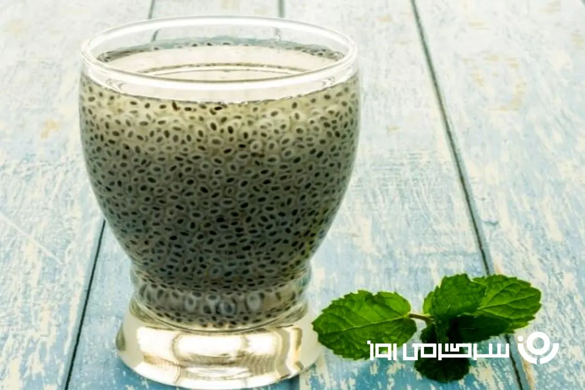 تخم شربتی؛ داروی گیاهی مؤثر برای سلامت گوارش