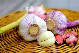 با این ترفند مادربزگ ها تا 1 سال سیر تازه داری | نگهداری از سیر برای 1 سال بدون کهنه شدن