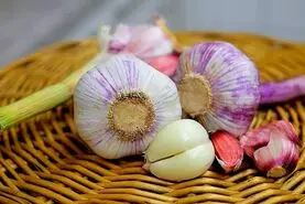 با این ترفند مادربزگ ها تا 1 سال سیر تازه داری | نگهداری از سیر برای 1 سال بدون کهنه شدن