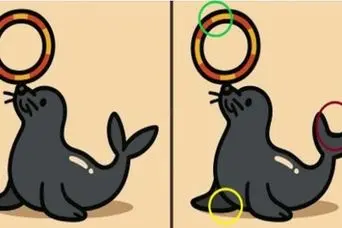 بازی فکری : اگه چشمات 10 / 10 تو 5 ثانیه 3 تفاوت و پیدا کن!