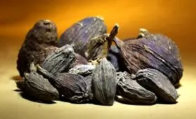 تسکین سر درد و درد مفاصل و بیرون راندن صفرا و بلغم با این گیاه
