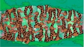 بازی فکری : مار و تو 5 ثانیه بین زرافه ها پیدا کن و بهمه ثابت کن مغزت مثل تسلاست!