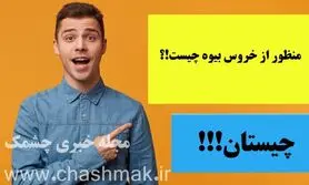 چیستان روز | منظور از خروس بیوه چیست!؟

