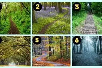 تست شخصیت شناسی: با انتخاب مسیر جنگلی مورد علاقه بفهمید خجالتی هستید یا نه!