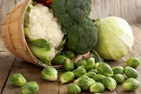  ریه خود را به این سبزیجات بسپارید | اگر یک ریه صفر کلیومتر میخواهید بخوانید 