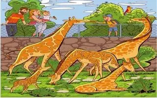 بازی فکری : فقط یک دید عقابی می تواند گلابی پنهان را در 8 ثانیه پیدا کند!