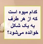 چیستان روز | کدام میوه است که از هر طرف به یک شکل خوانده می‌شود؟