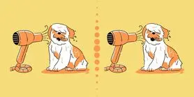 بازی فکری : نوابغ برای پیدا کردن 5 تفاوت فقط 15 ثانیه وقت دارید!