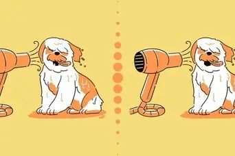 بازی فکری : نوابغ برای پیدا کردن 5 تفاوت فقط 15 ثانیه وقت دارید!