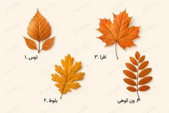 تست شخصیت شناسی | کدام برگ پاییزی بیشتر به دلتان می‌نشیند؟ انتخابتان یک ویژگی مهم شما را نشان می‌دهد