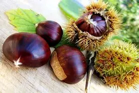 این میوه جادویی درمان تضمینی ناباروری مردان است