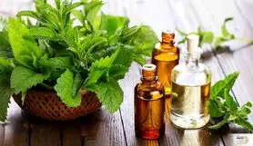 این روغن گیاهی یک داروخانه سیار است | شفای تمام بیماری ها فقط با یک روغن ارزان قیمت