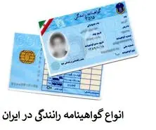 اگه گواهینامه داری بخون | گواهینامت چه رنگیه؟