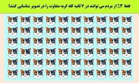 تست هوش | فقط 3 درصد آدما تونستن زیر 7 ثانیه گربه متفاوت رو پیدا کنند