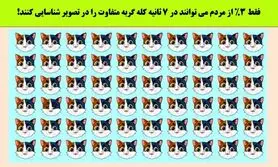 تست هوش | فقط 3 درصد آدما تونستن زیر 7 ثانیه گربه متفاوت رو پیدا کنند