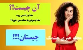 چیستان روز | آن چیست که مدام راه می رود و مدام سرش به سنگ می خورد؟
