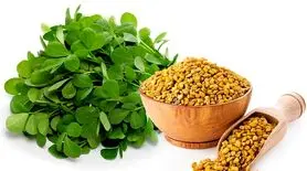  این سبزی داروی گیاهی دیابت | صد در صد تضمینی ! 