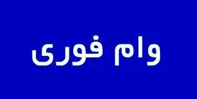 وام فوری ۳۰۰/۰۰۰/۰۰۰ تومانی بدون سپرده و ضامن | وام فوری با اقساط بلند مدت برای تمام اقشار