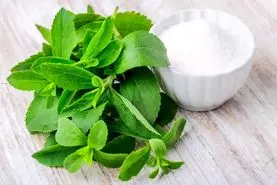 این گیاه جایگزین سالم برای قند مصنوعی است / مقابله با قند خون بالا و دیابت
