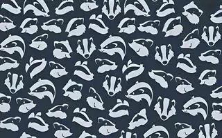 بازی فکری : باید دیدت مثل پوآرو باشه تا تو 6 ثانیه دلفین و پیدا کنی!