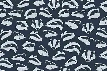 بازی فکری : باید دیدت مثل پوآرو باشه تا تو 6 ثانیه دلفین و پیدا کنی!