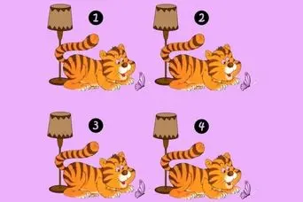 بازی فکری :اگه تو 5 ثانیه توله ببر متفاوت و پیدا کنی ضریب هوشیت با انیشتین یکیه!