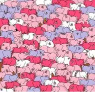 بازی فکری:حتی پزشکان قلب هم اشتباه میکردند! فقط نابغهها توانستند قلب پنهان شده در تصویر را در ۵ ثانیه پیدا کنند!