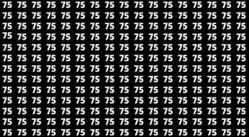 بازی فکری : فقط اوناییکه چشم های عقابی دارند تو  ۷ ثانیه عدد ۷۳ را پیدا می کنند!