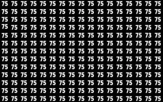 بازی فکری : فقط اوناییکه چشم های عقابی دارند تو  ۷ ثانیه عدد ۷۳ را پیدا می کنند!