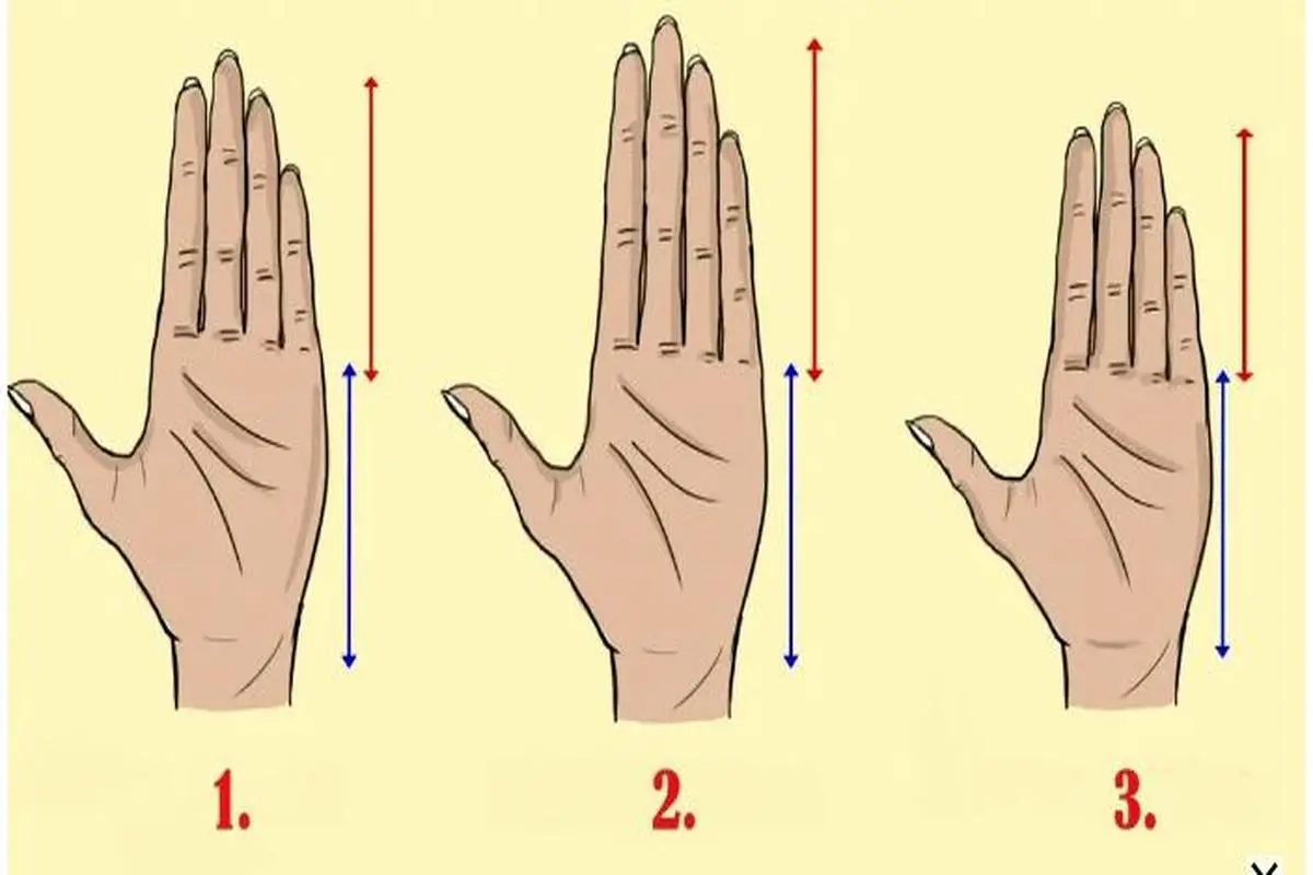 طول انگشتان شما نسبت به کف دست شخصیت واقعی شما را آشکار می کند | تست شخصیت شناسی 