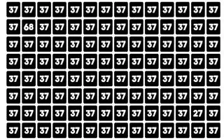 بازی فکری : مدعی های چشم عقابی بیان و تو 5 ثانیه عدد 68 و پیدا کنن!