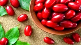  گران ترین داروهای خارجی برای عفونت مجاری ادراری و سنگ کلیه و کلسترول بالا از این میوه ایرانی تولید می شود 