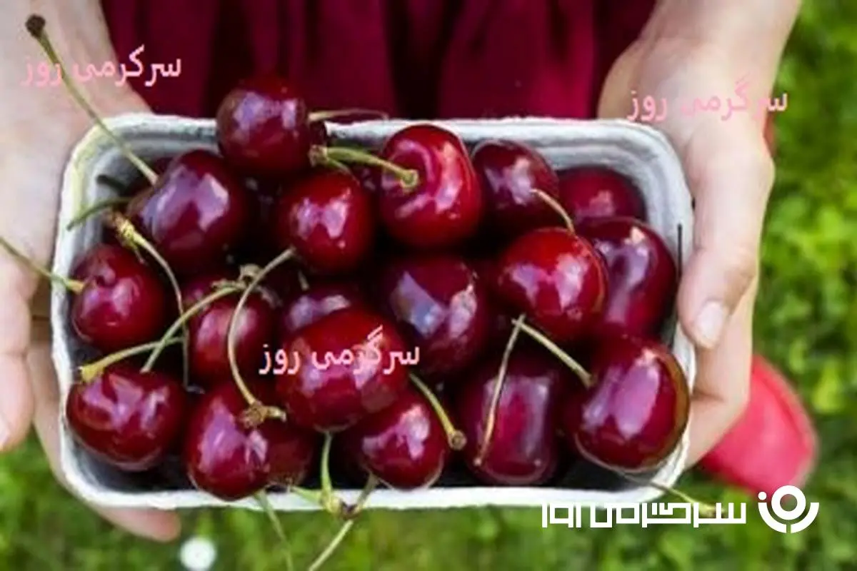 چرا باید ناشتا گیلاس بخوریم؟