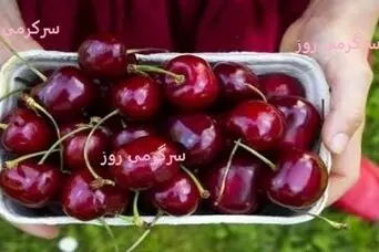 این نوبرانه بهار کنترل کننده قند خون است | این میوه قرمز کوچک دشمن غلظت خون است