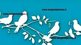 یک پرنده را انتخاب کنید و هدف خود را کشف کنید | تست شخصیت شناسی