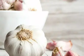 ترفند جادویی درست نگهداری طولانی مدت سیر در خانه؛ چگونه سیر تازه را در فریزر نگه داریم؟