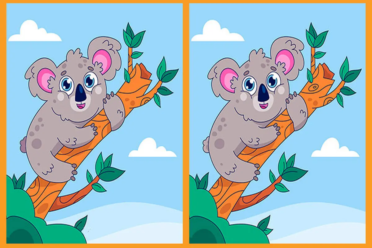 بازی فکری: اگه مثل شاهین تیزبین و شکاری هستی 3 تفوات و تو 8 ثانیه پیدا کن!