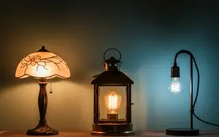 روانشناسی شخصیت : یک آباژور انتخاب کنید و شخصیت تان را بهتر بشناسید!