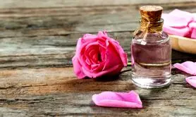 هر شب قبل خواب گلاب مصرف کنید تا کمترین زمان علاوه بر پاکسازی کامل بدن به پوست عالی هم برسی