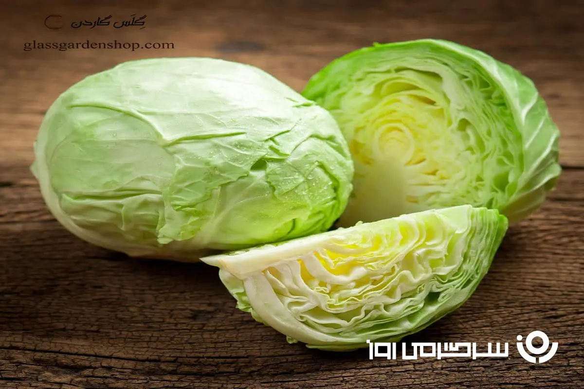 با خوردن این سبزی کنار غذا، بدنتان را در برابر بیماری‌ها بیمه کنید