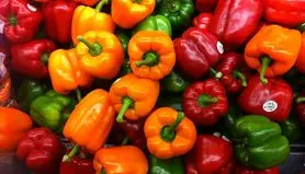 یک عمر نمیدانستید که ی هر رنگ فلفل دلمه برای چی خوبه | یه عمر اشتباه کردی! کارکرد واقعی هر رنگ فلفل دلمهای را اینجا ببینید