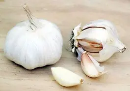 این صیفی به عنوان یک آنتی بیوتیک استفاده میشود 