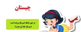 چیستان متوسط | در عین اینکه اسم یک پرنده است، اسم یک غذا نیز هست!