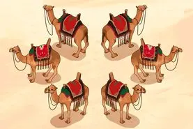 حکایت جذاب تقسیم هفده شتر بین سه برادر توسط حضرت علی (ع )