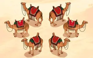 حکایت جذاب تقسیم هفده شتر بین سه برادر توسط حضرت علی (ع )