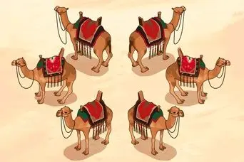 حکایت جذاب تقسیم هفده شتر بین سه برادر توسط حضرت علی (ع )