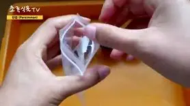  آموزش کاشت خرمالو در گلدان به ساده ترین روش