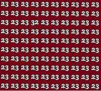 بازی فکری : فقط 1% مردم میتونن تو 5 ثانیه عدد 32 رو پیدا کنند!